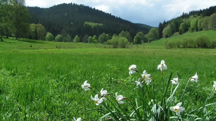 Škorničkův statek – apartmán, Hamr