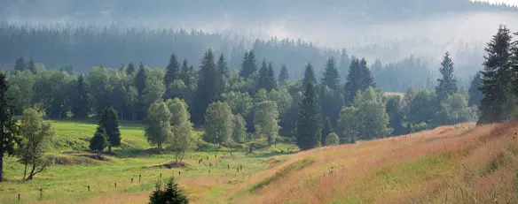 Šumava Inn – hotel, Kvilda