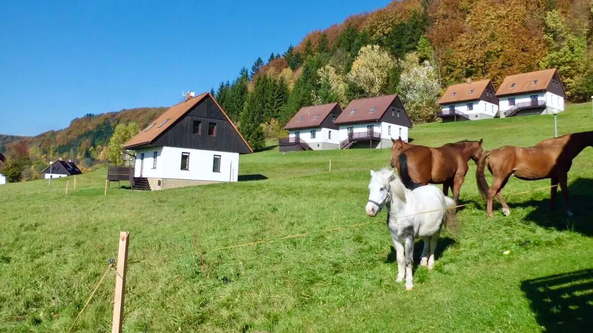 Green Valley Park – chata/Chalupa, Stárkov