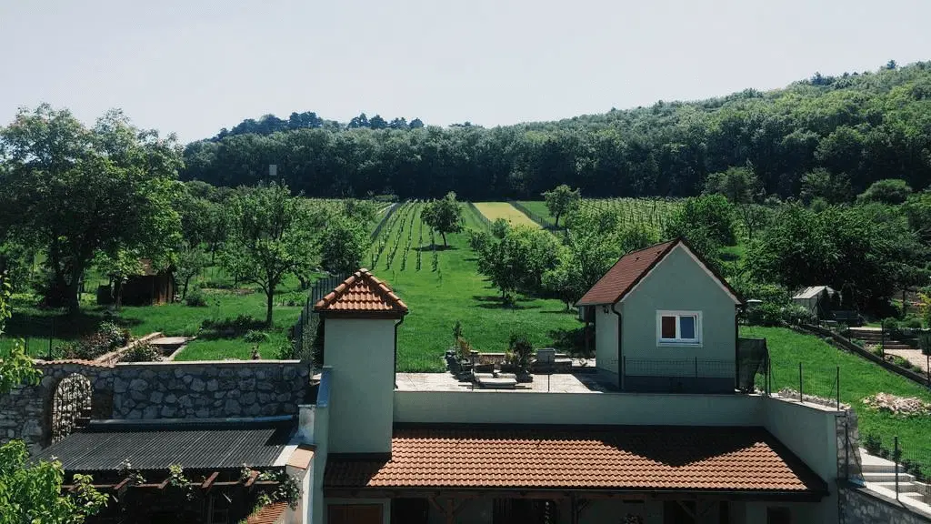 Penzion Pod Vinicí – penzion, Mikulov