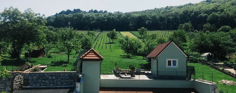 Penzion Pod Vinicí – penzion, Mikulov