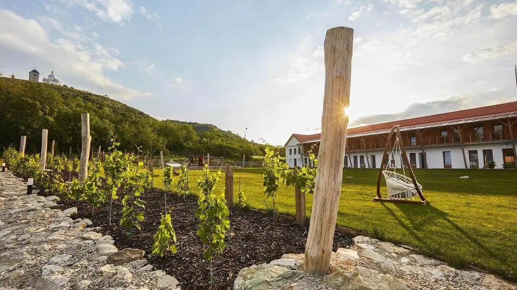 Hotel Ryzlink – hotel, Mikulov