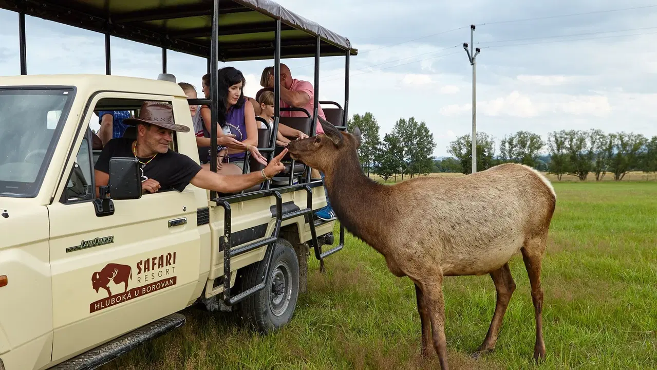 Residence Safari Resort – netradiční ubytování, Borovany