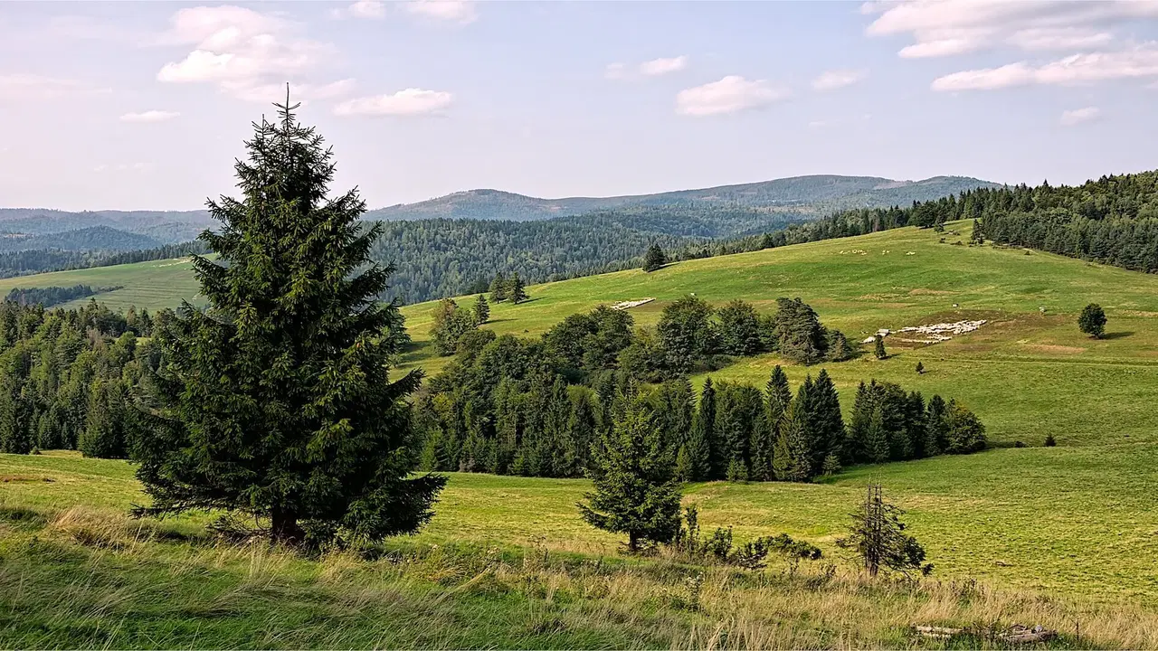 Wellness & Restaurace U Fandy – penzion, Lhotka