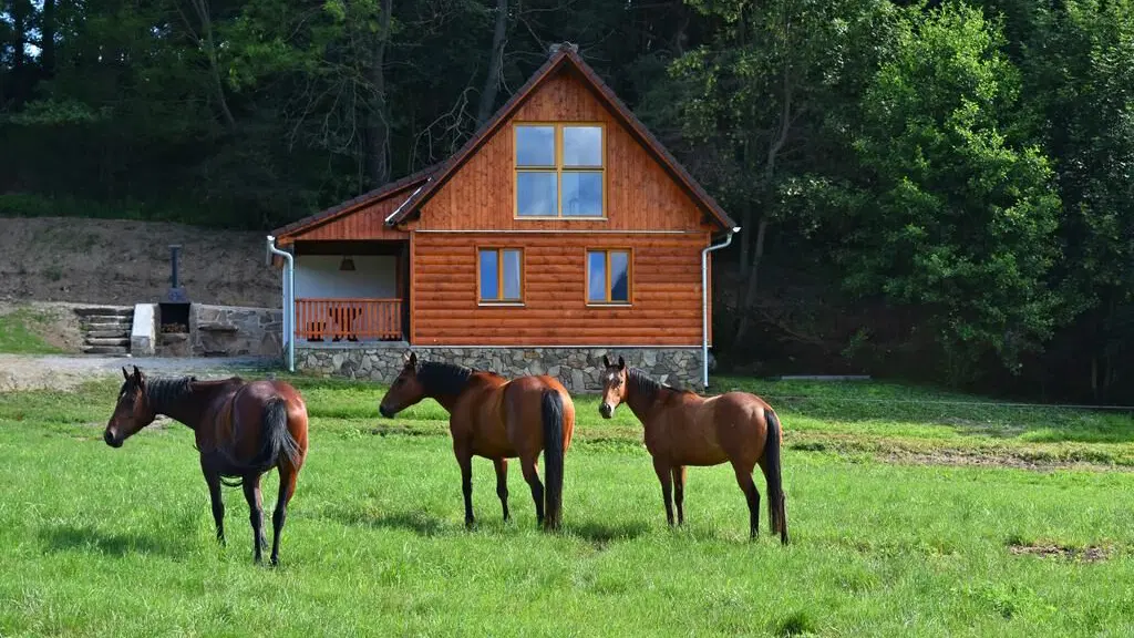 Ubytování Ranč Malenice – chata/Chalupa, Malenice