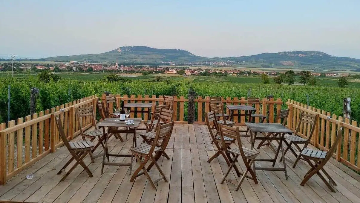 Penzion Lelíkovi – penzion, Dolní Dunajovice