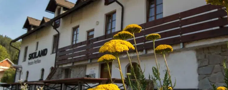 Penzion Skiland – penzion, Ostružná