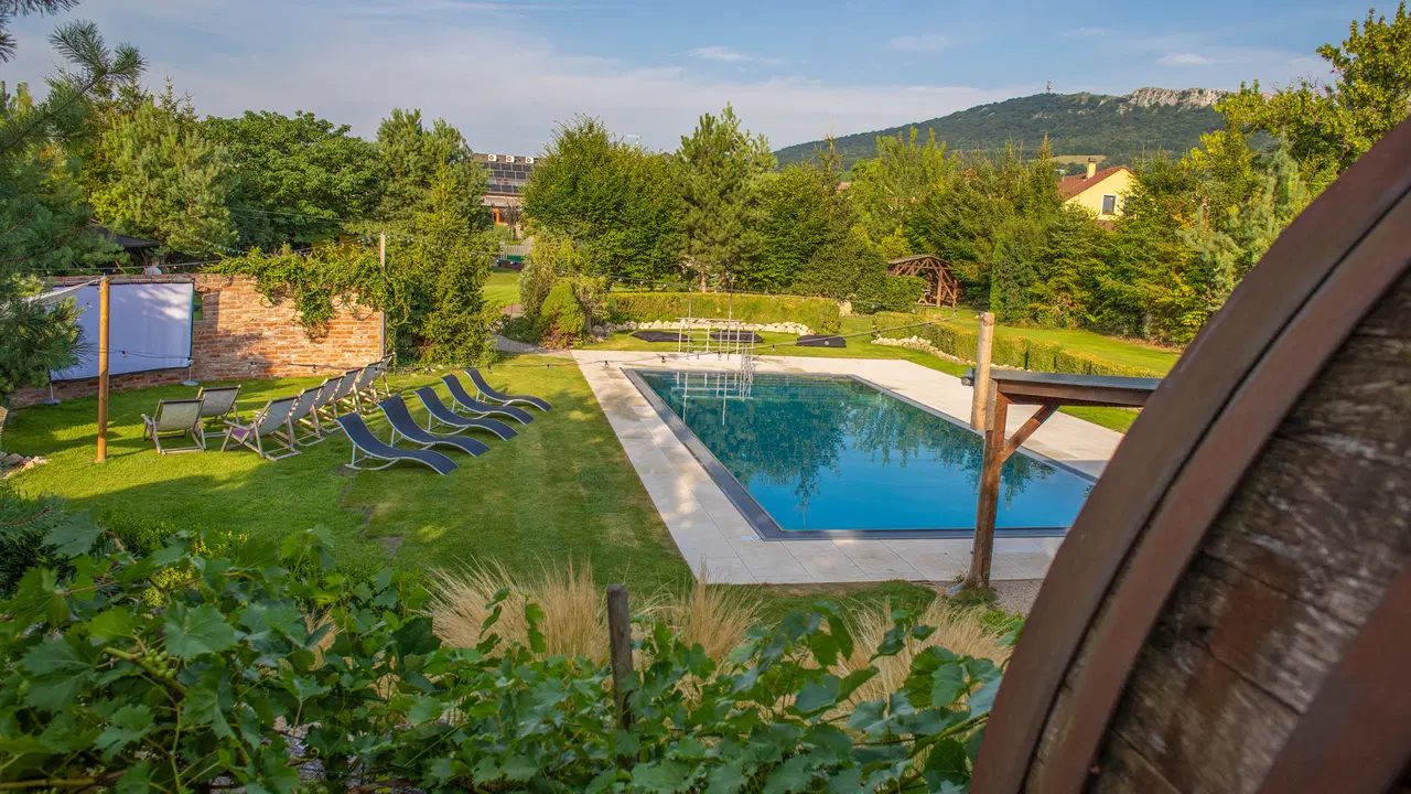 Amenity Penzion Horní Věstonice – hotel, Horní Věstonice