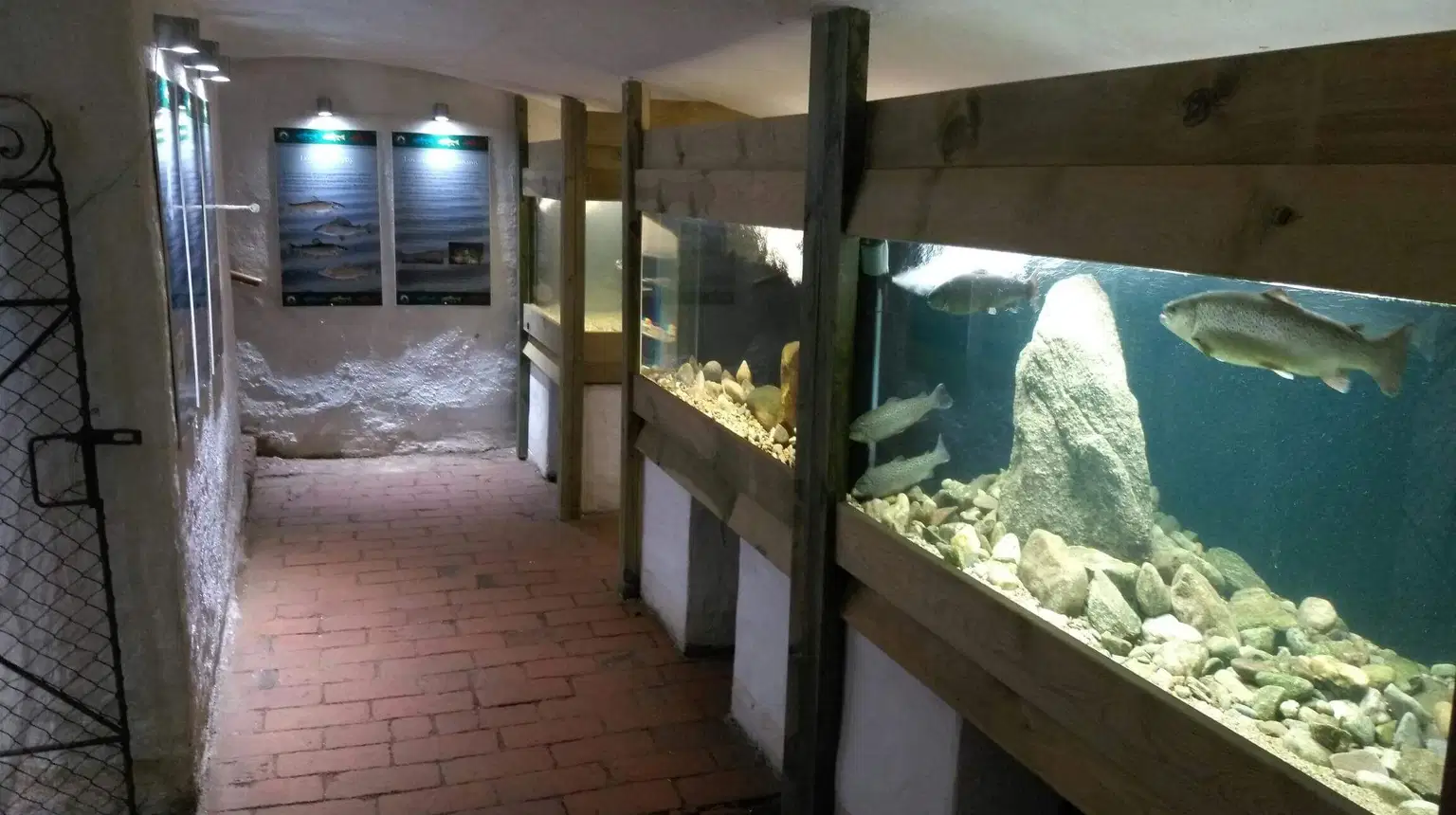 Akvárium Orlík – muzea, Orlík nad Vltavou