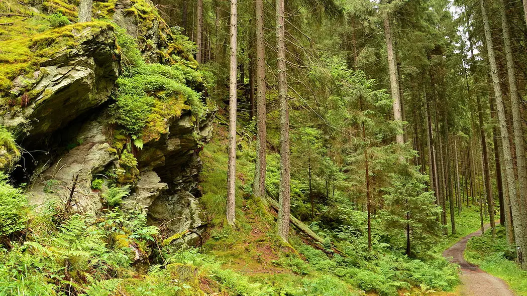 Amálino údolí – příroda, Kašperské Hory