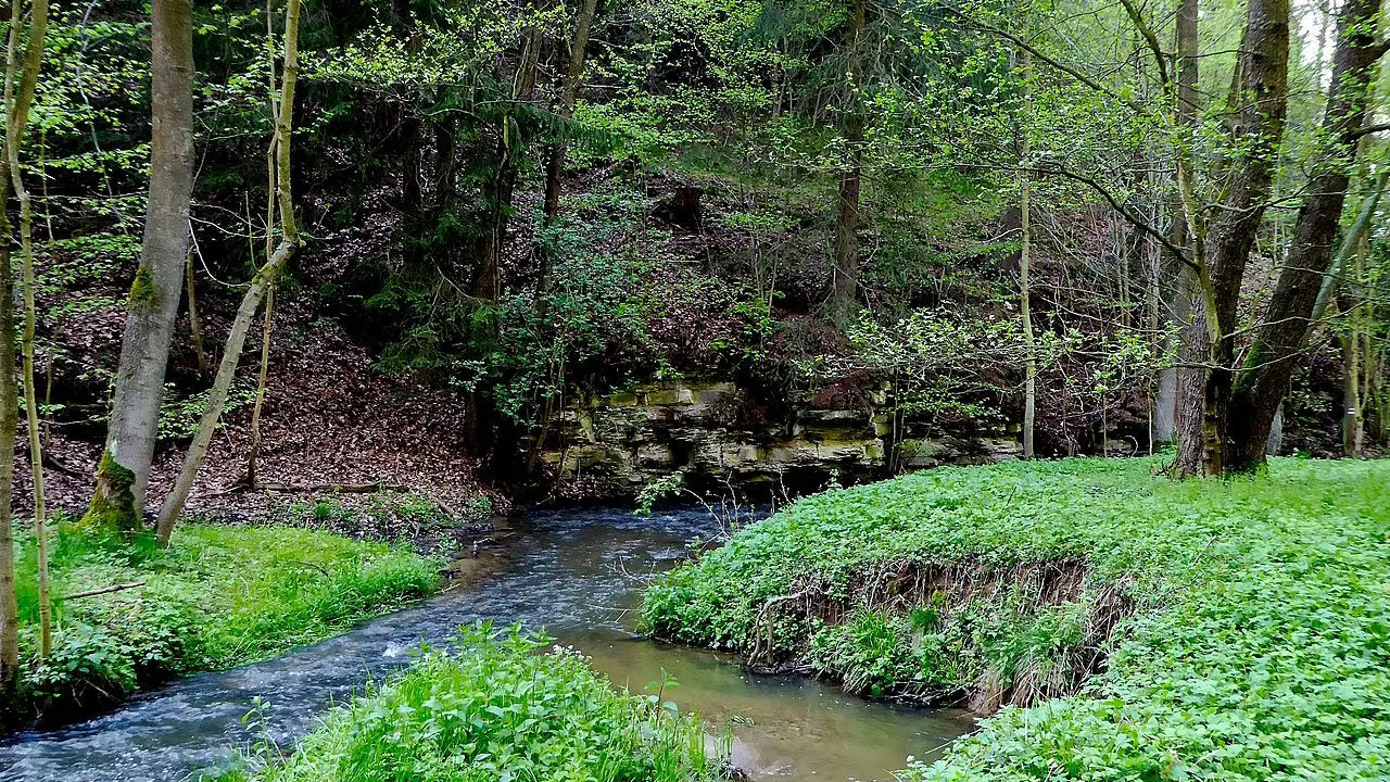 Anenské údolí – příroda, Harrachov