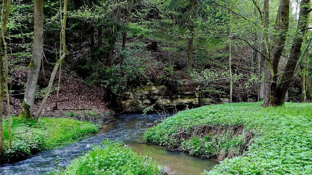 Anenské údolí – příroda, Harrachov