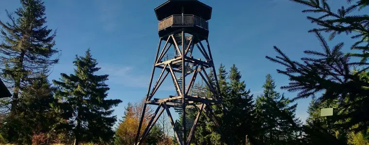 Anenský vrch – příroda, Bartošovice v Orlických horách