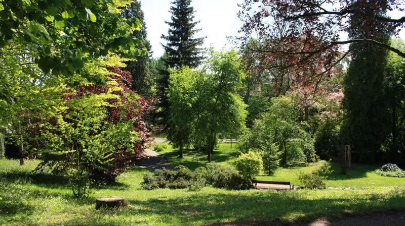 Arboretum Bílá Lhota – příroda, Bílá Lhota