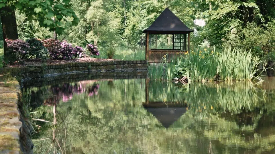 Arboretum Jablunkov – příroda, Jablunkov