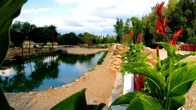 Garden park Jeneč – příroda, Jeneč