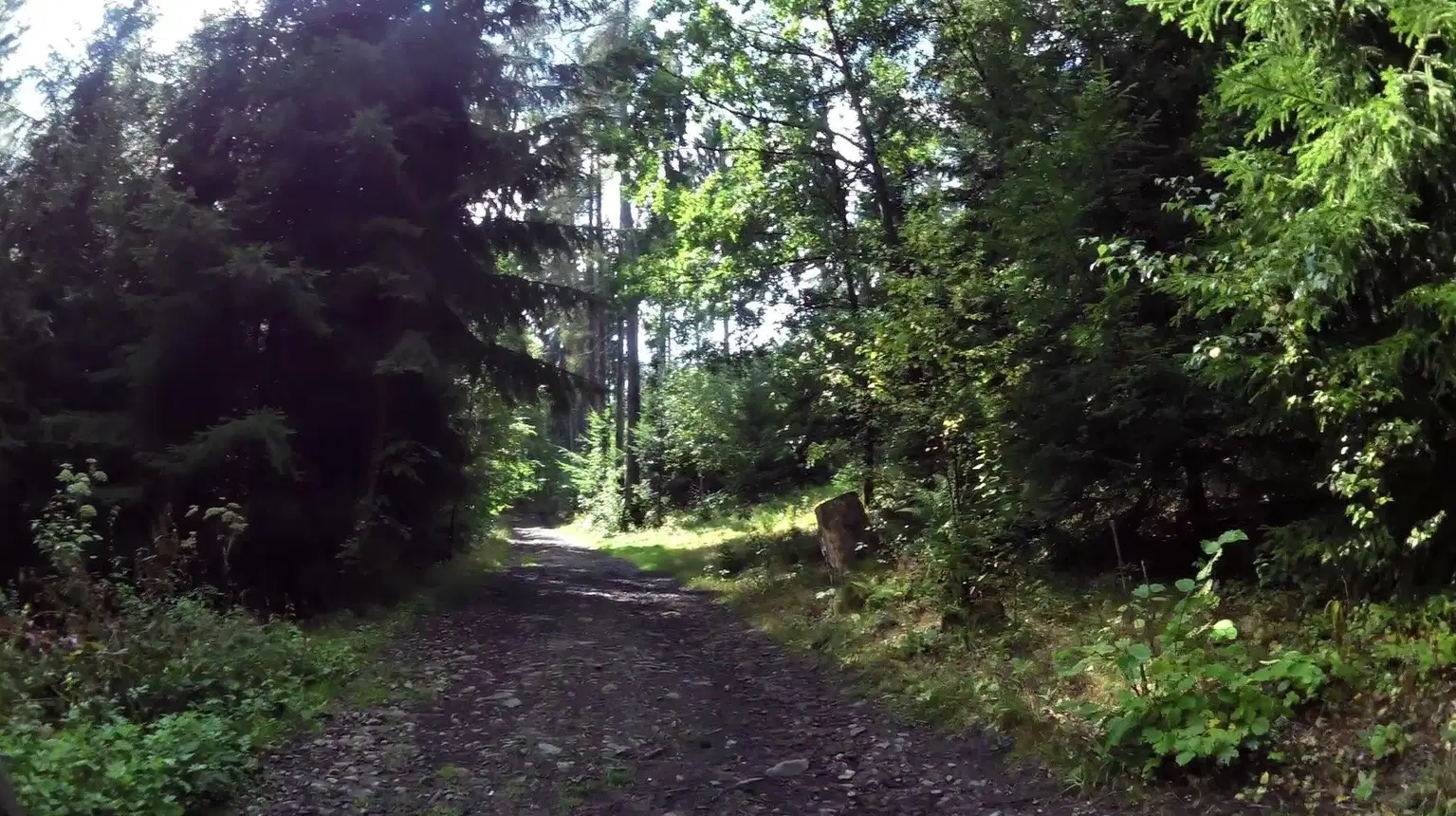 Hadí stezkou na Svatobor – naučné stezky, Železná Ruda