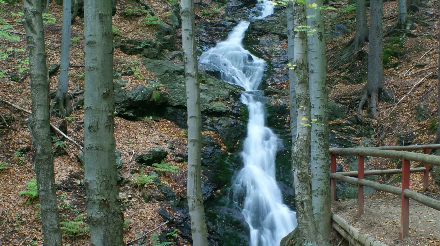 Huťský vodopád – příroda, Rokytnice nad Jizerou