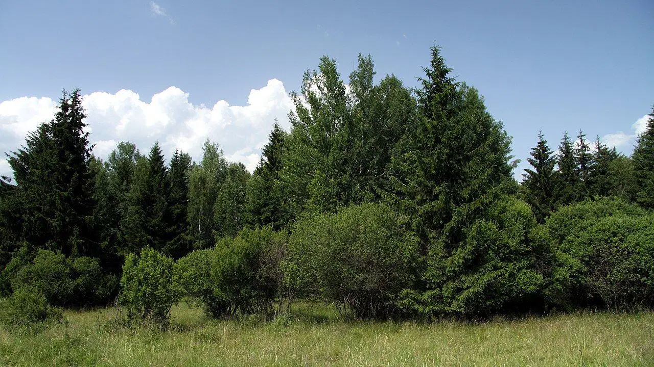 Mokřady pod Vlčkem – příroda, Prameny