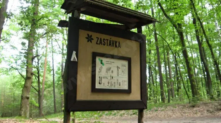 Naučná stezka Loučeň – naučné stezky, Loučeň