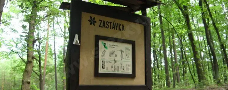 Naučná stezka Loučeň – naučné stezky, Loučeň