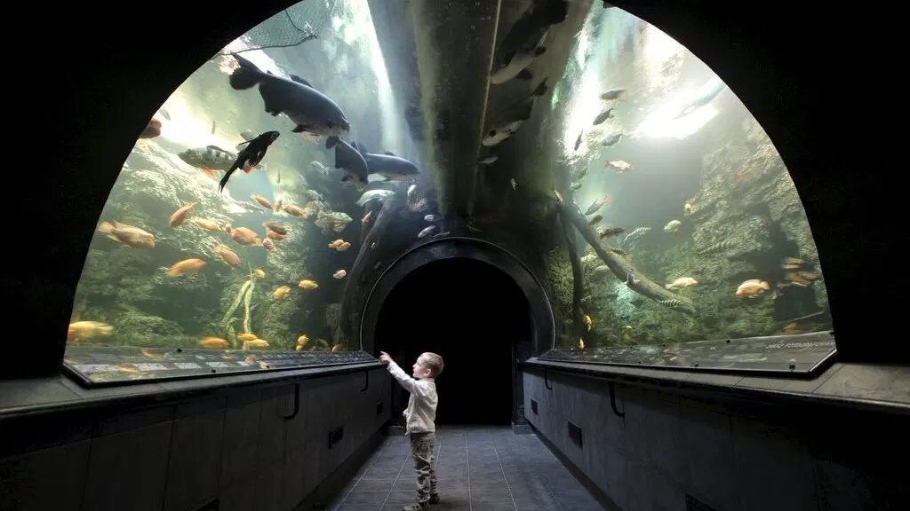 Obří akvárium Hradec Králové – zoo a farmy, Hradec Králové