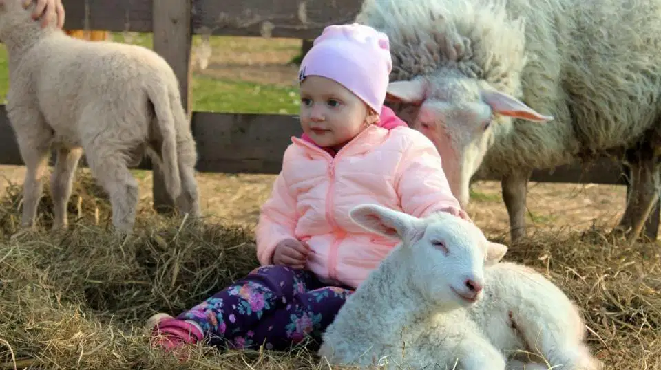 Pohádková zahrada Pardubice – zoo a farmy, Pardubice