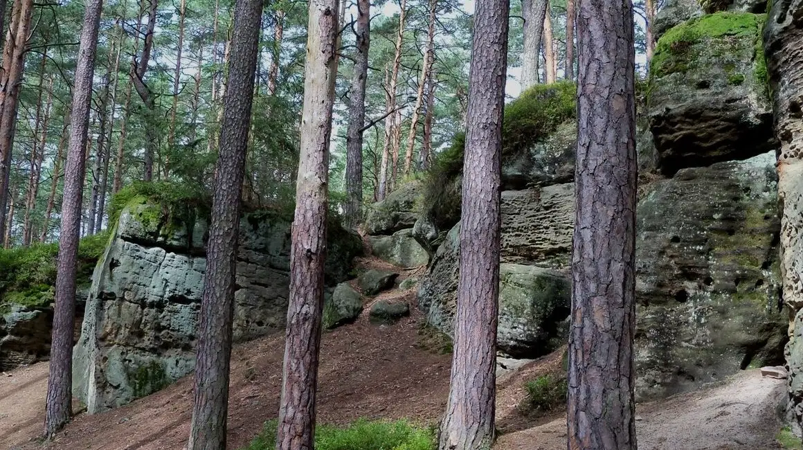 Toulovcovy maštale – příroda, Budislav