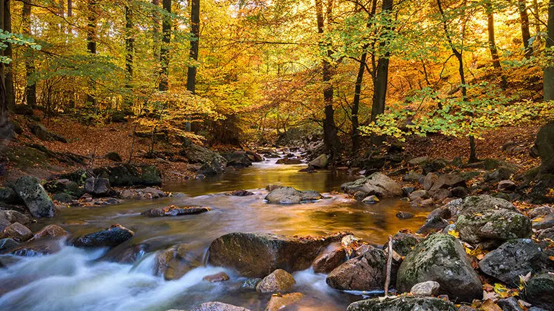 Údolí Doubravy – příroda, Dolní Sokolovec