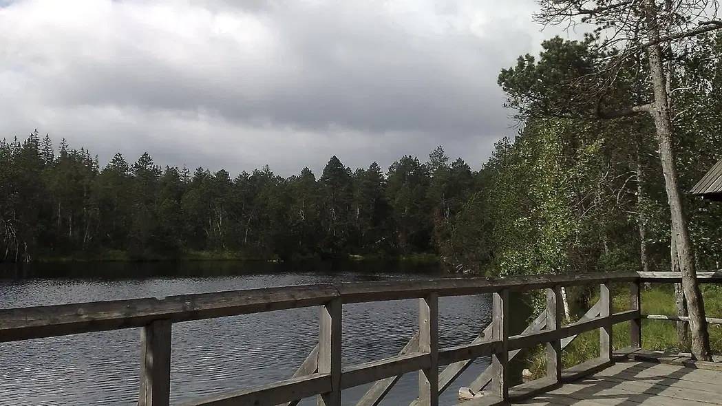 Velké mechové jezírko – příroda, Zlaté Hory
