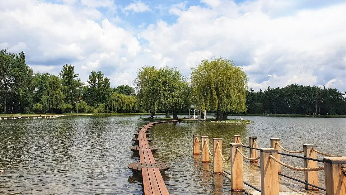 Nový rybník – příroda, Příbram
