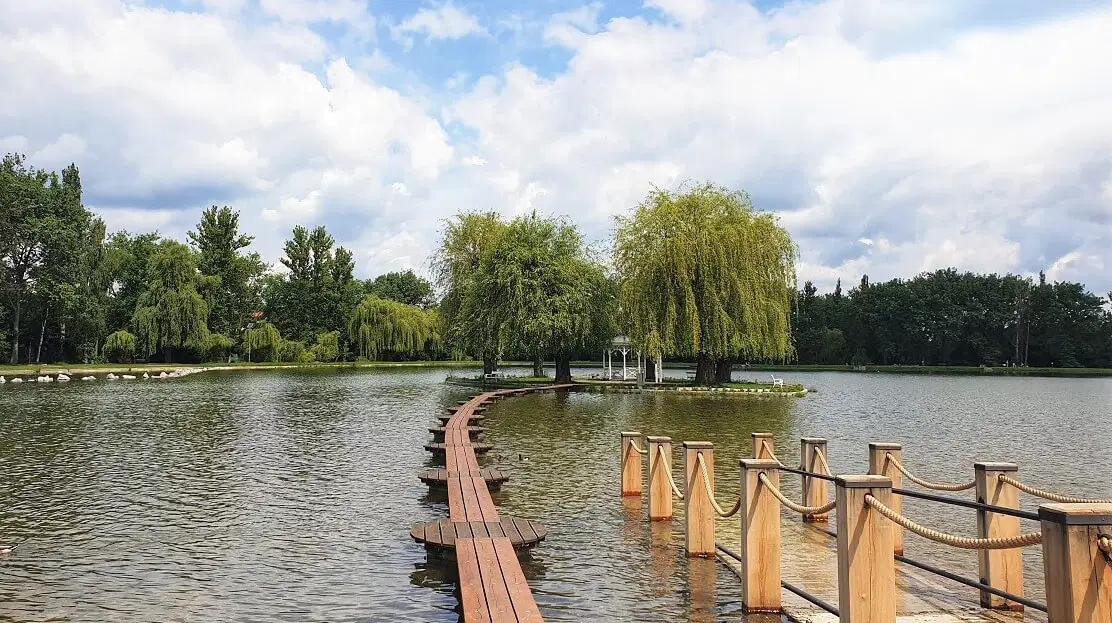 Nový rybník – příroda, Příbram