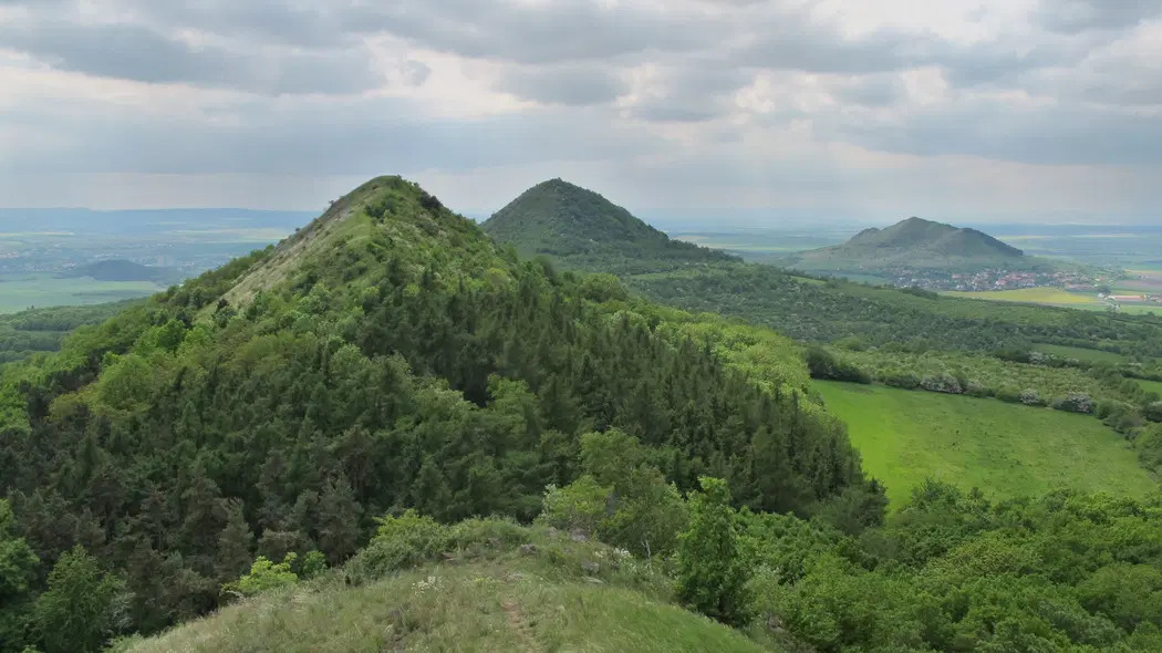 Vrch Raná – příroda, Raná