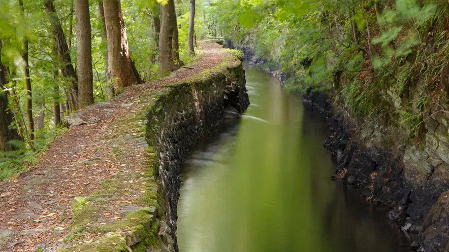 Weisshuhnův kanál – příroda, Hradec nad Moravicí