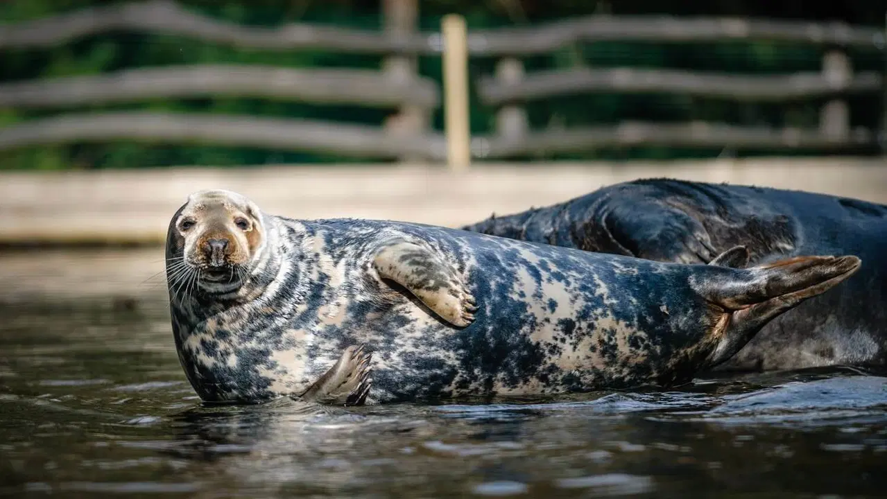 Zoopark Chomutov – zoo a farmy, Chomutov