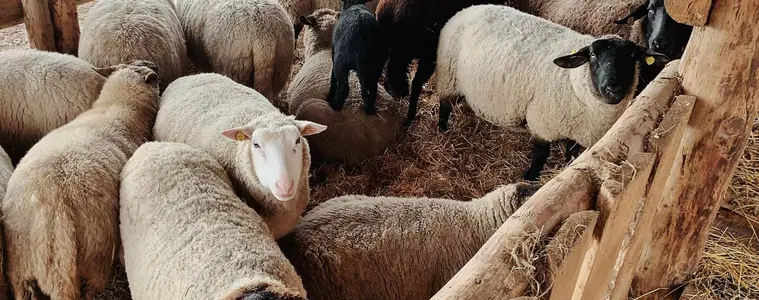 Centrum Eden – zážitkové areály, Bystřice nad Pernštejnem