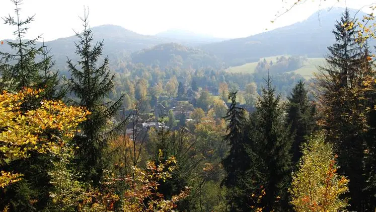 Chřibské vodopády – příroda, Chřibská