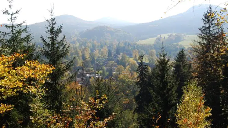 Chřibské vodopády – příroda, Chřibská