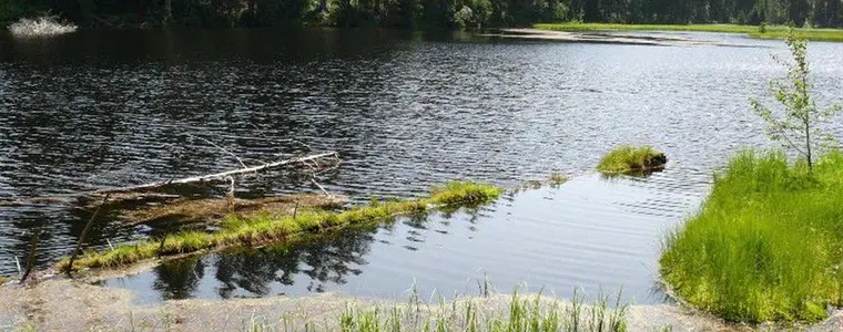 Jezero Laka – příroda, Prášily