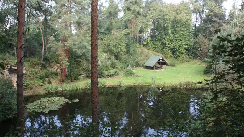 Jezírka Skalka – příroda, Skalka