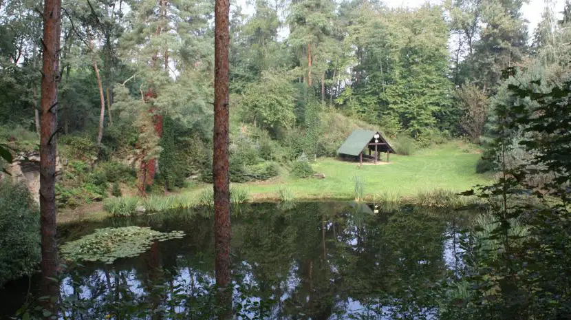 Jezírka Skalka – příroda, Skalka