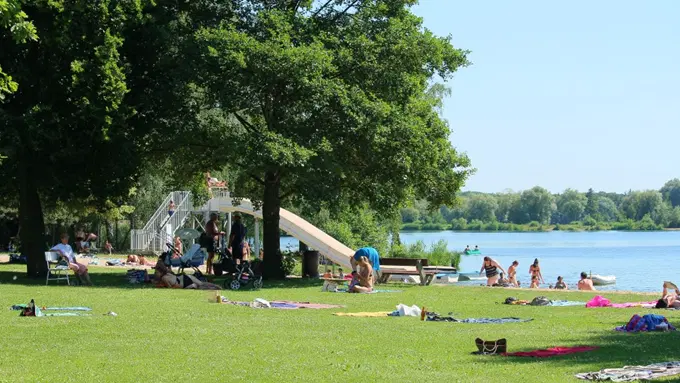 Jezero Poděbrady – příroda, Poděbrady