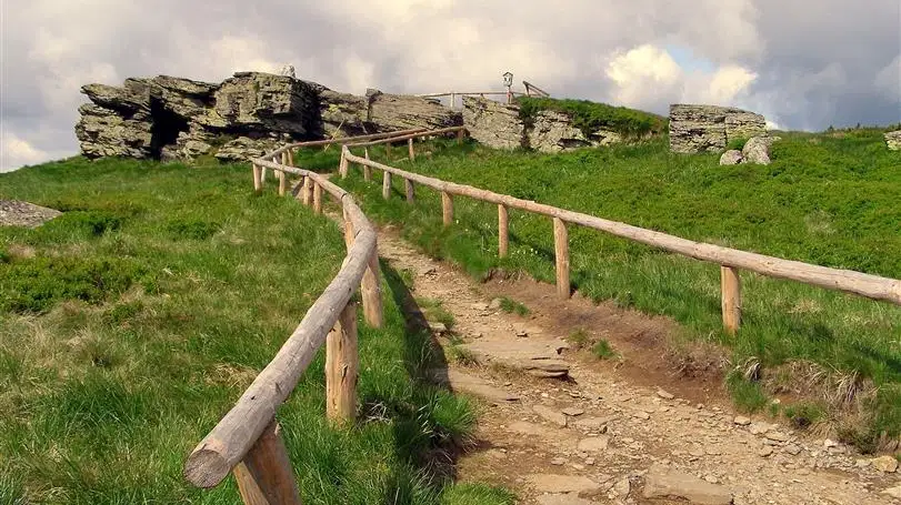 Keprník – příroda, Ostružná