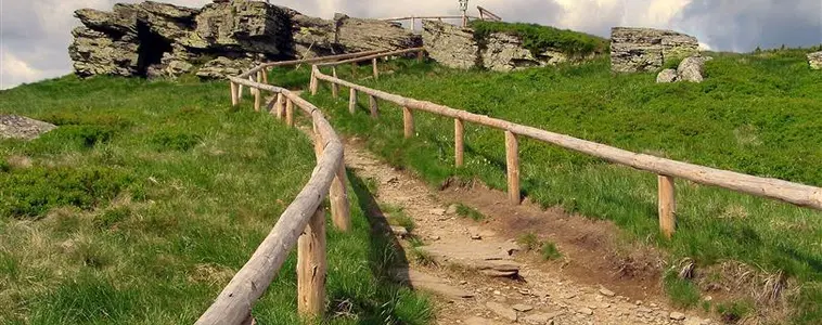 Keprník – příroda, Ostružná