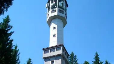 Klostermannova vyhlídka – příroda, Srní