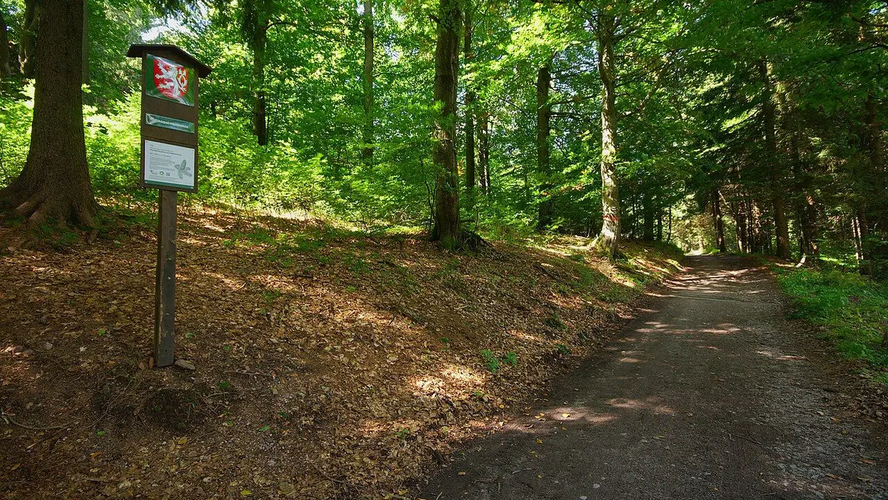 Komáří vrch – příroda, Orlické Záhoří