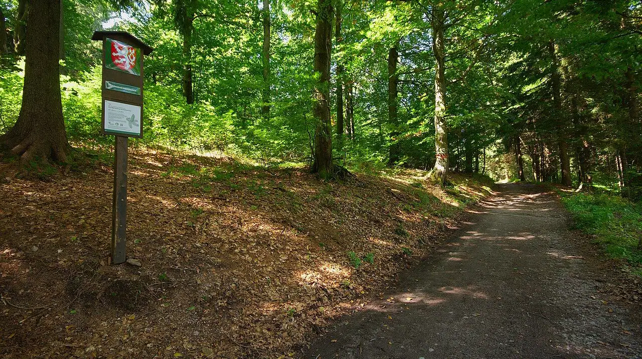 Komáří vrch – příroda, Orlické Záhoří