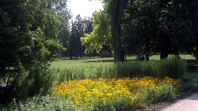 Park Lužánky – příroda, Brno