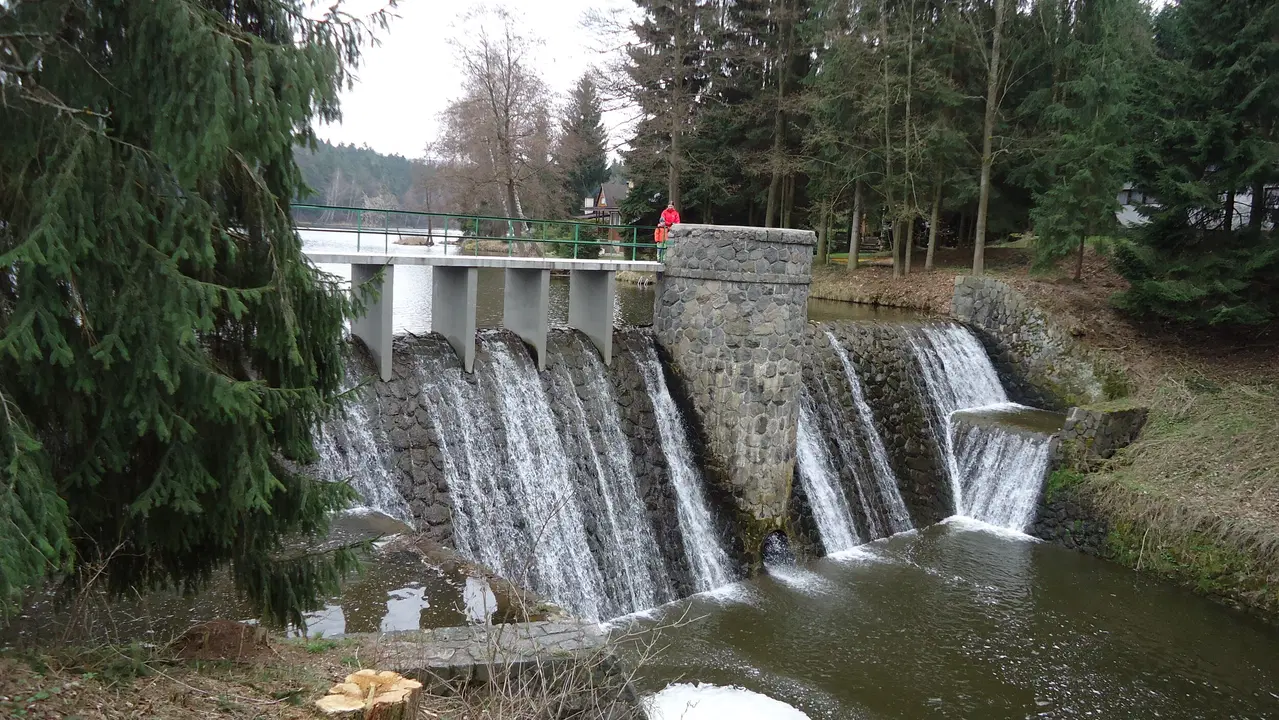 Pekelské a Hedvičino údolí – příroda, Třemošnice
