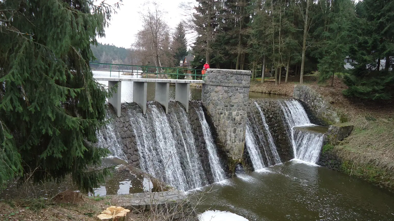 Pekelské a Hedvičino údolí – příroda, Třemošnice
